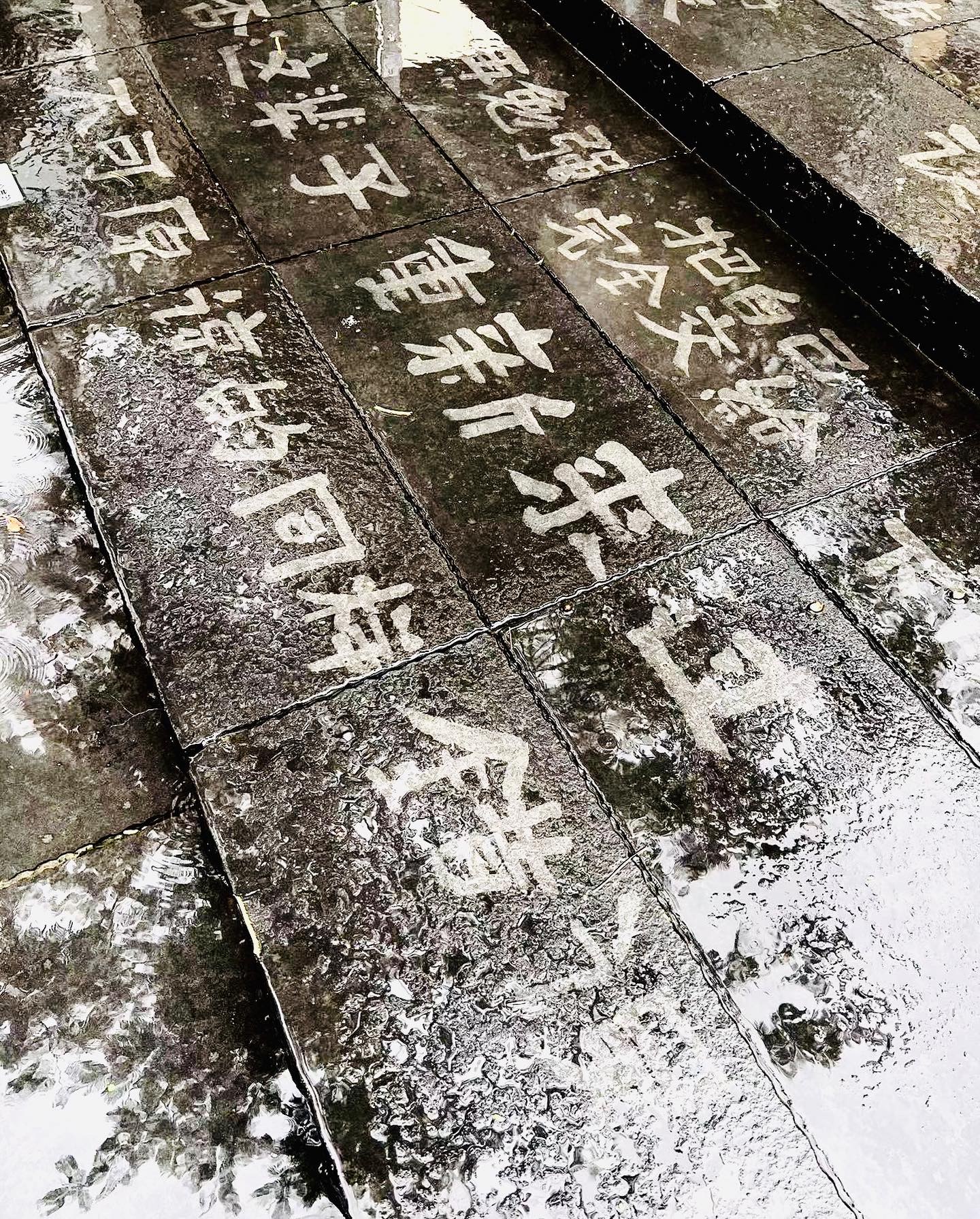 《等待一场雨》超疏水材料书法展，2023年7月，深圳南头古城