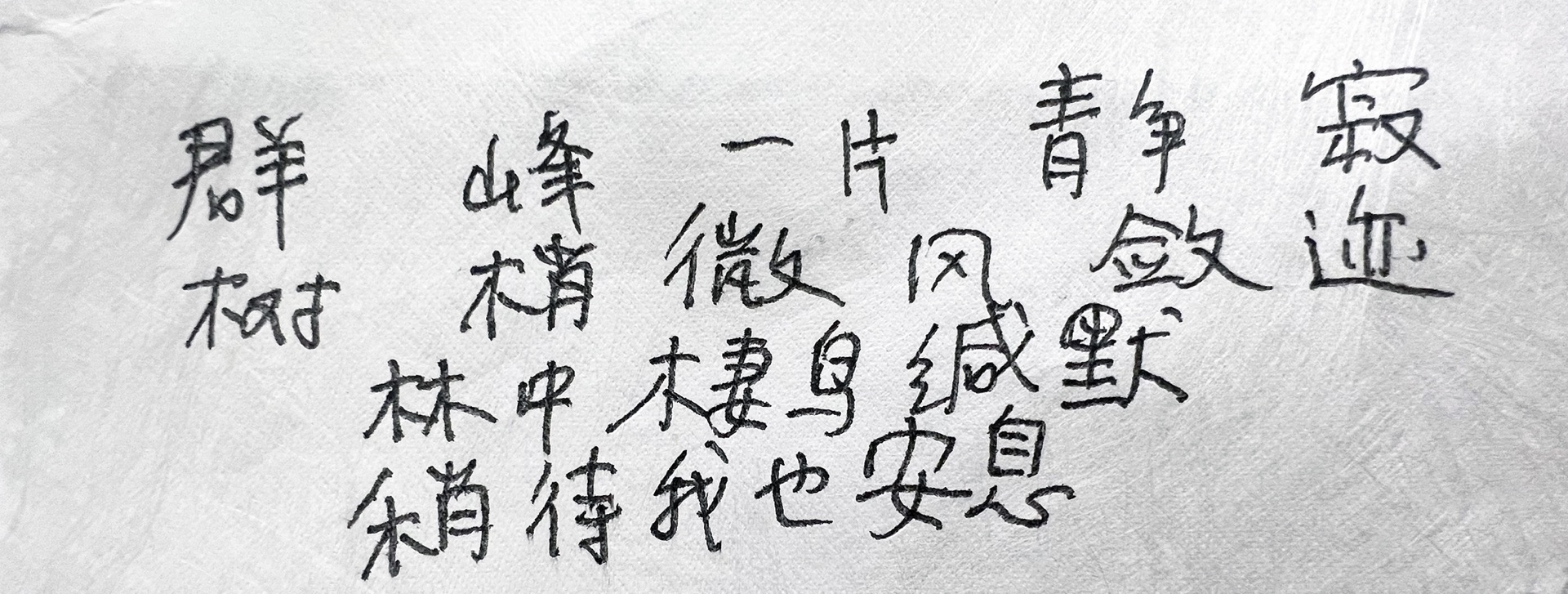 《诗与远方》 图像 4