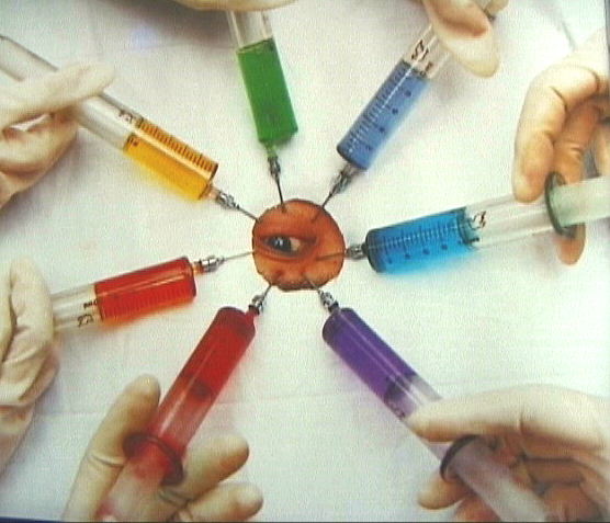 《虹》系列，1994