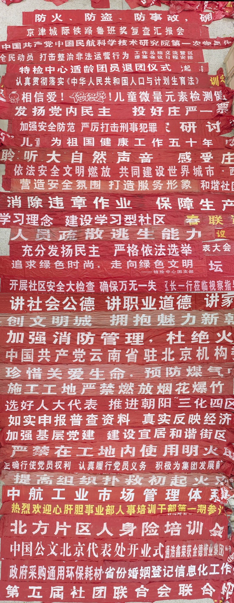 《网》 图像 3