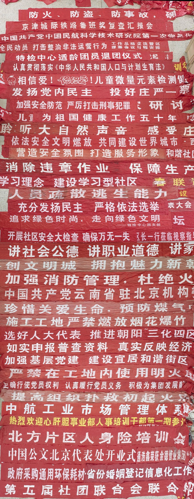 《网》 图像 4