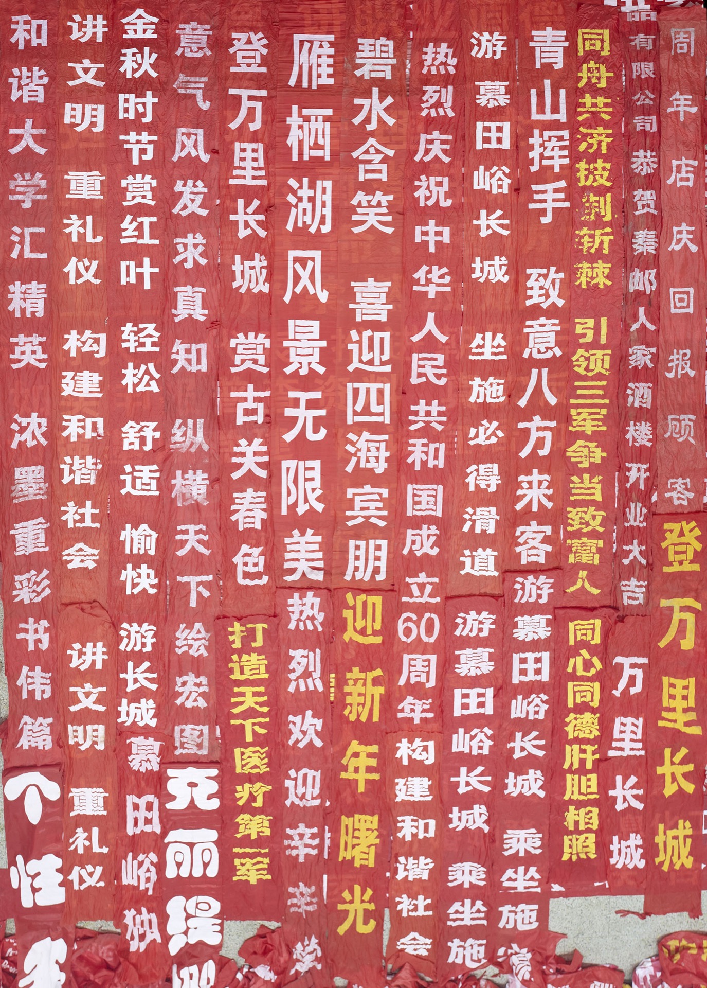 《网》 图像 5