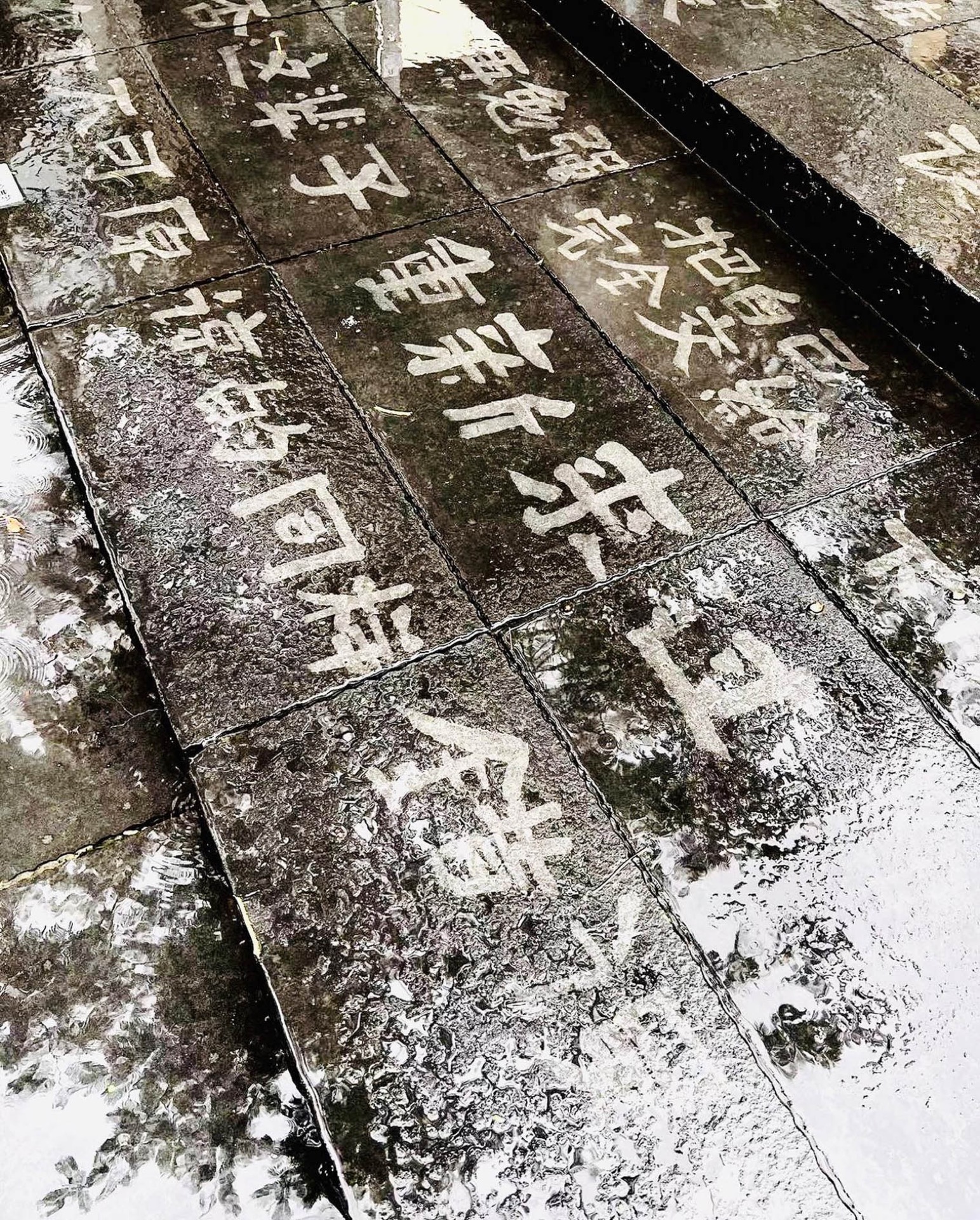 《等待一场雨》 图像 4