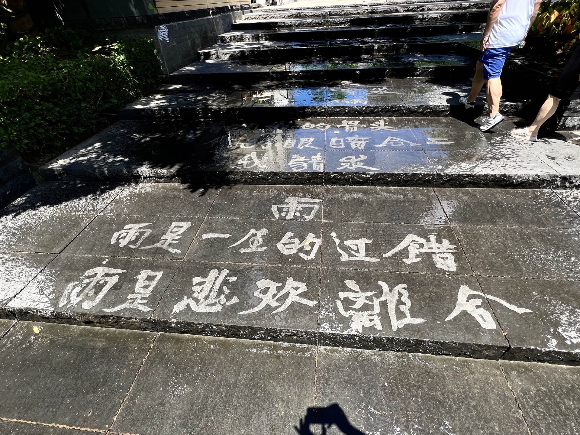 《等待一场雨》 图像 7